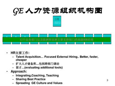 通用電氣公司（GE）的人力資源管理組織體系與人力資源服務(wù)探析